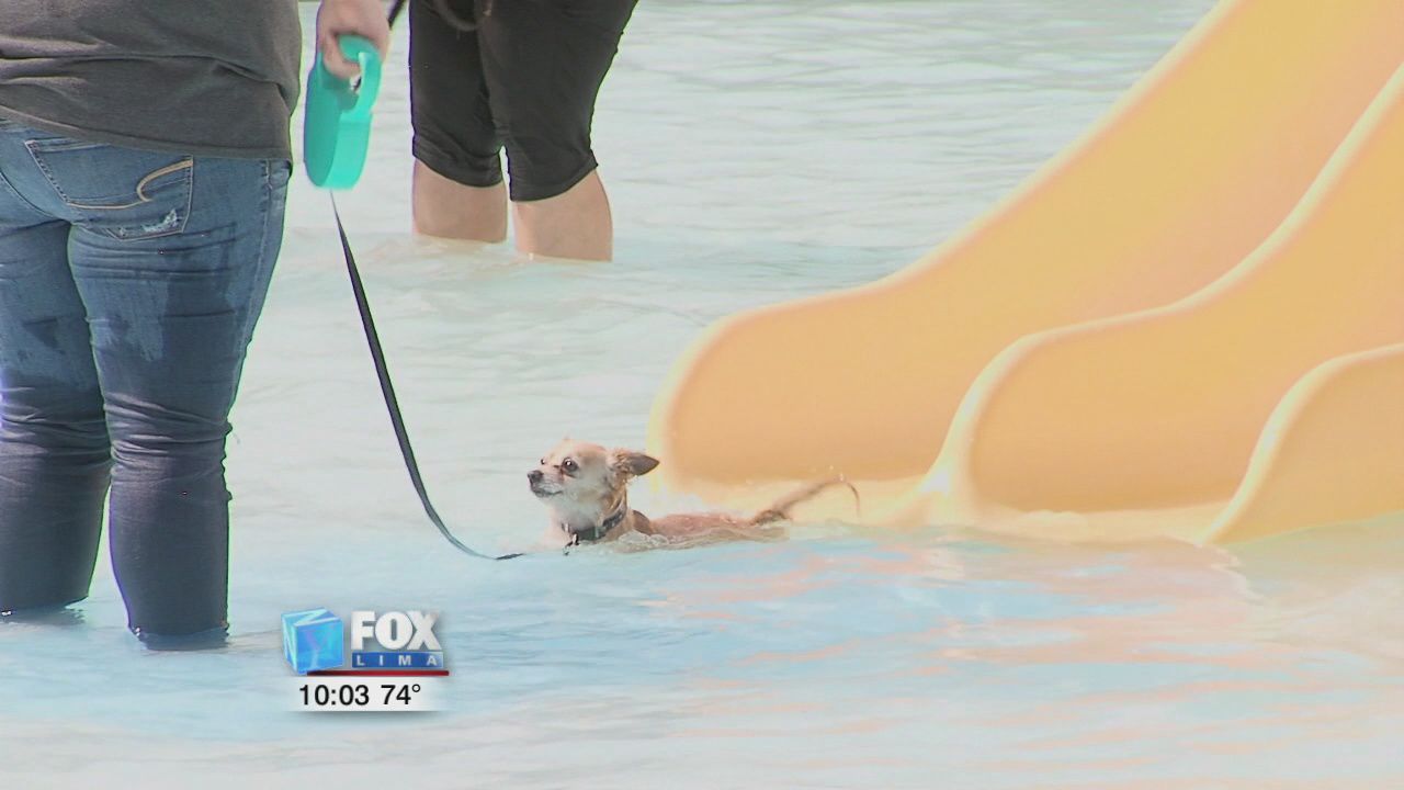 Wapak waterpark puts on Soggy Doggy Day 1.jpg